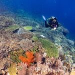 Taucher Tauchsafariyacht Komodo Aggressor