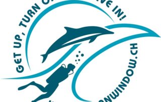 Logo Tauchsafariboot Ocean Window