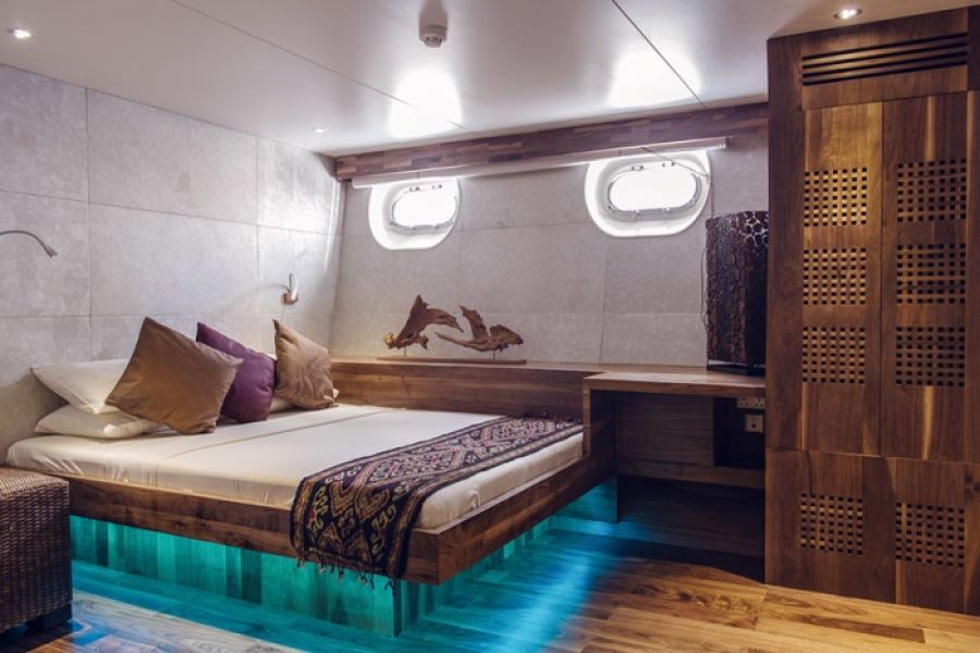 sea star cabin double-scubaspa-yang