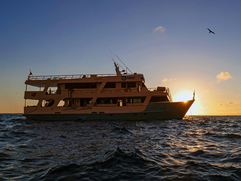 sonnnenuntergang-aqua Sonnenuntergang Safariboot Aqua