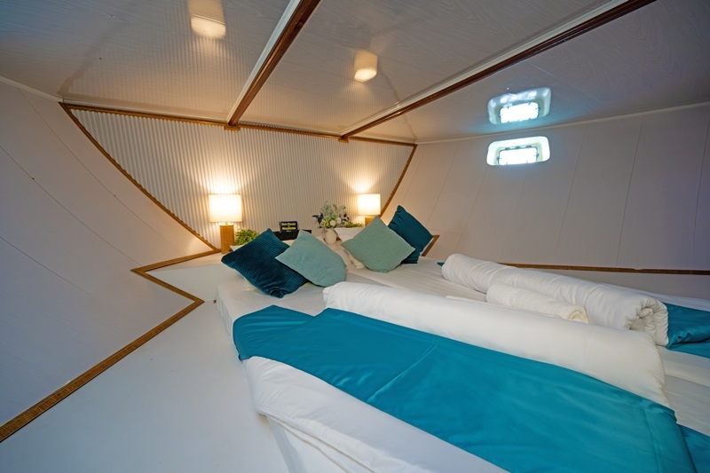 kabine-4-amba Standard Bow Double UD Tauchsafariyacht Amba