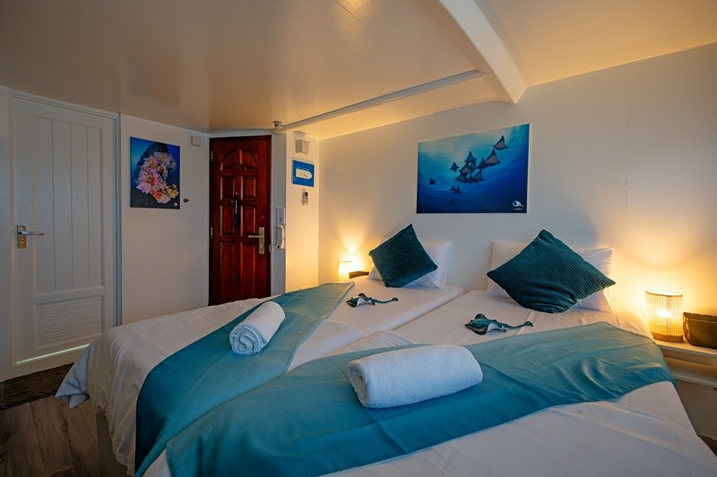 kabinen-10-11-amba LUX-Kabine Tauchsafariyacht Amba