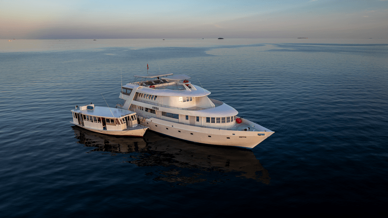 Schiff Dhoni Safariyacht Amba